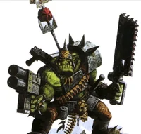40K ORK