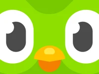 Duolingo Bird