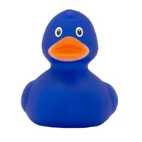 Blue duck