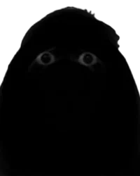 Angry munci
