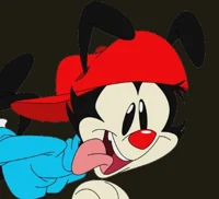 Wakko