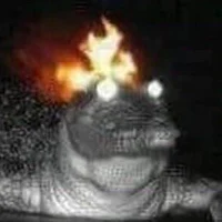 The Flaming Gator