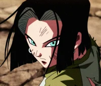 Android 17