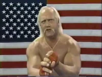Hulk Hogan