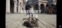 Ten the fungus