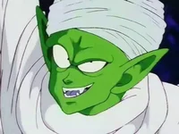 Piccolo Jr