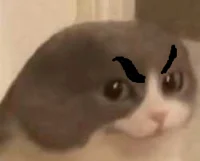 accidental duplicate