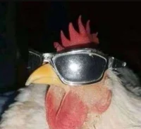 Swag Chicken