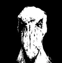 Shoebill
