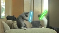 whowouldwininafight