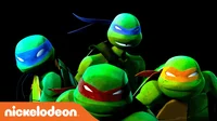 The Tmnt