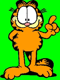 Garfield Cat
