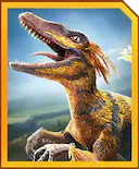 Pyroraptor Dino