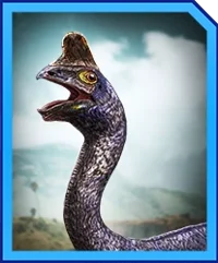 Oviraptor Din