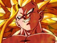 lordgoku98