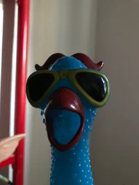 Rubber Chicken