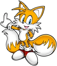 Tails The Fox