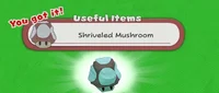 Shriveled Mushroom
