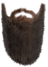 a random beard