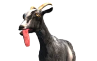 Pilgor the goat