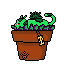 Potted Cat