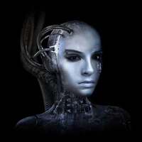 the bot