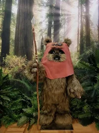 Ewok