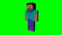 Minecraft Steve
