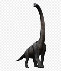Brachiosaurus 