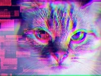 Glitchmeow