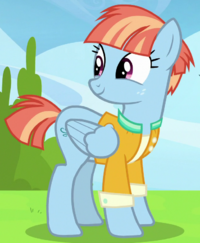 Windy Whistles
