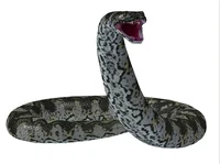 TitanoBoa