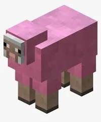 Uncommon Pink sheep