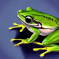 Artistic Frog