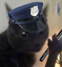 dabloons police