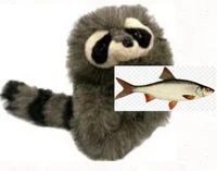 A simple trash panda