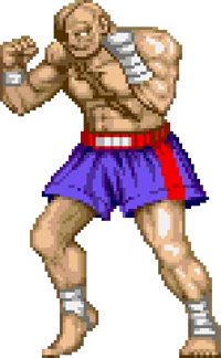 Sagat