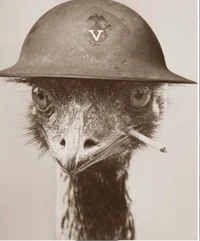 Emu Soldier