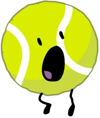 Tennis Ball