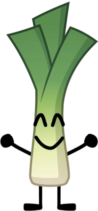 Leek