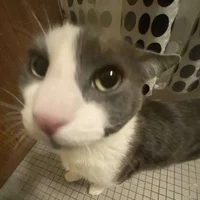 random aka dish soap