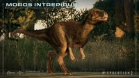 Moros Intrepidus