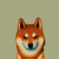 shiba
