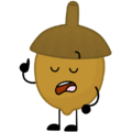 Acorn