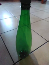 Bottle
