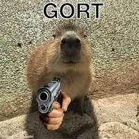 Gort