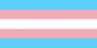 Trans Ally