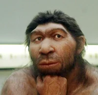Caveman