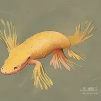 axolotl