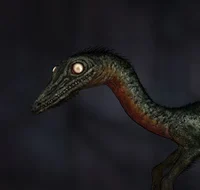 troodon